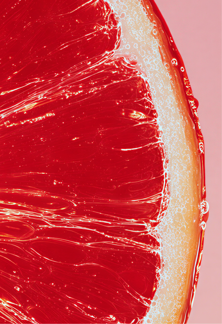 Lummi — entregable 2