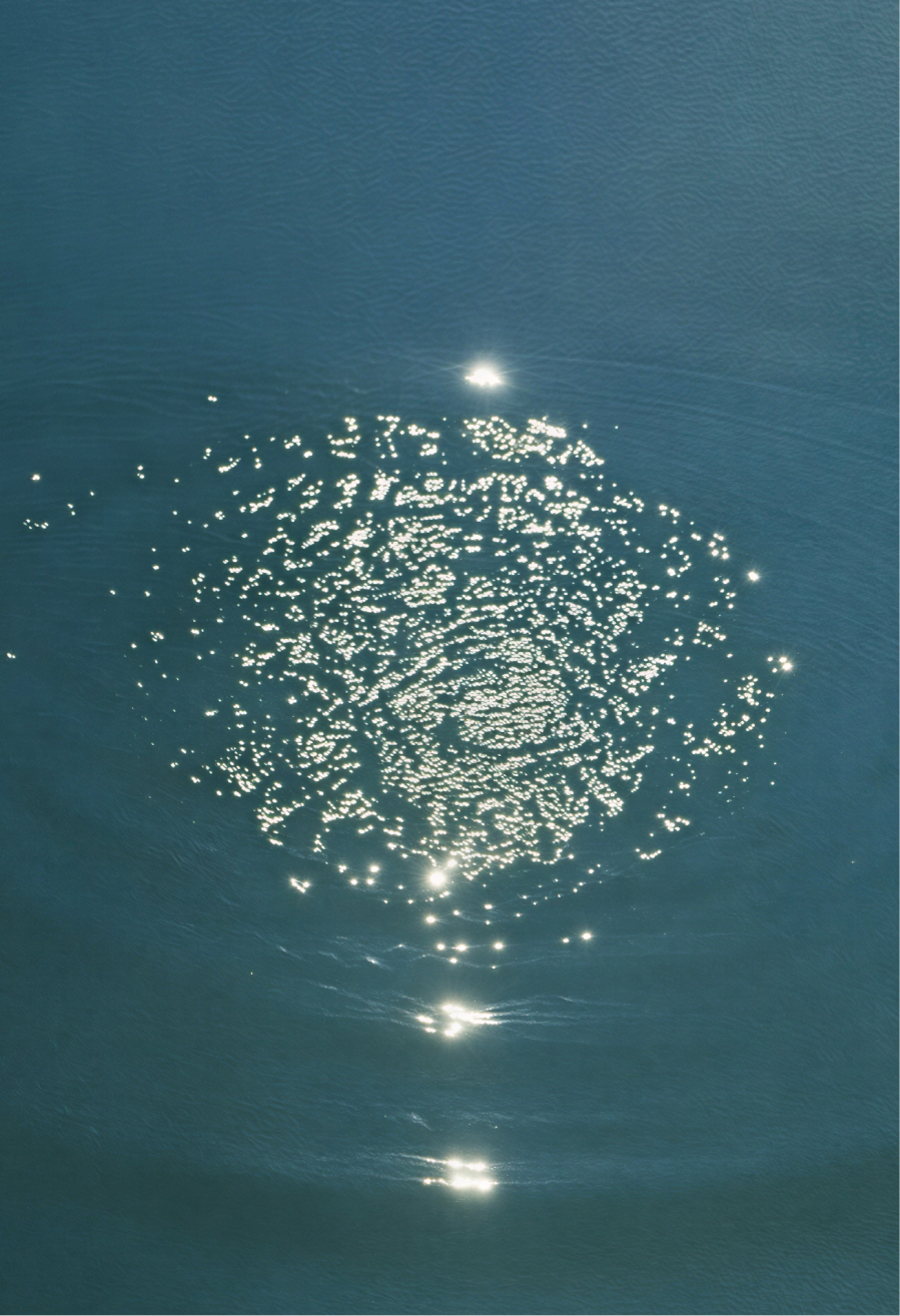 Lummi — entregable 9