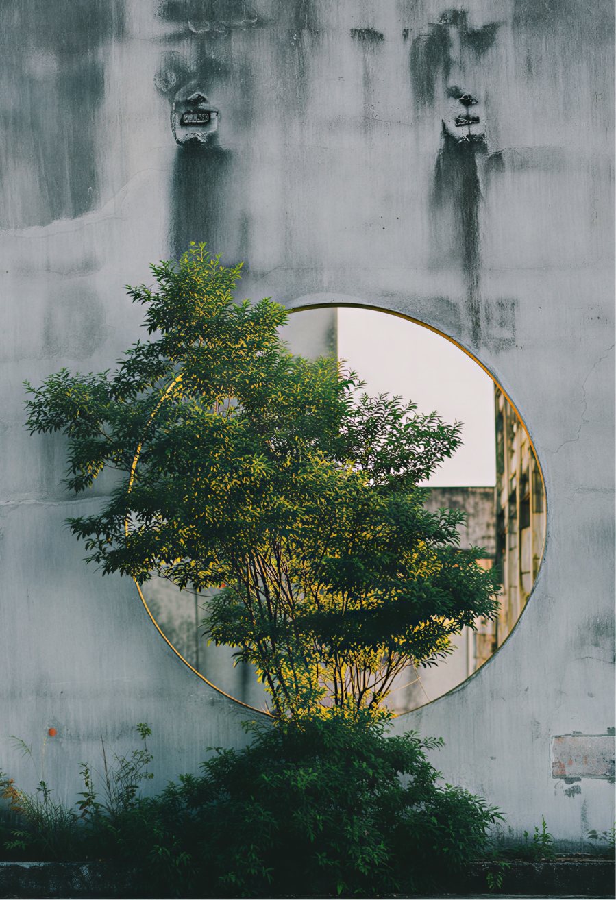 Lummi — entregable 12